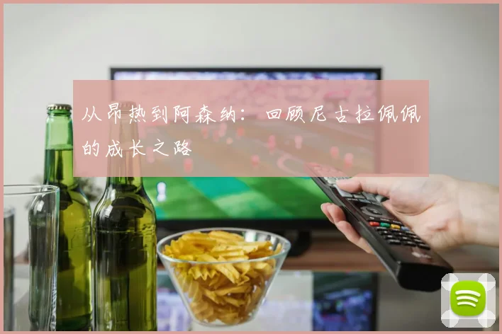 从昂热到阿森纳：回顾尼古拉佩佩的成长之路