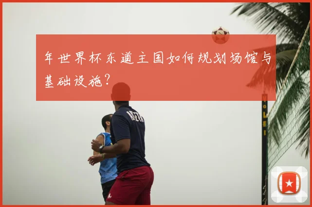 年世界杯东道主国如何规划场馆与基础设施？