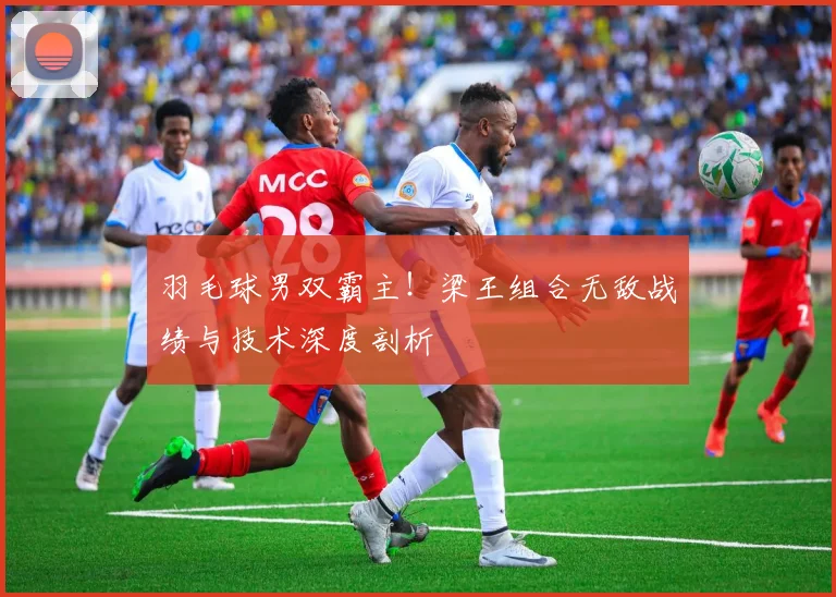 羽毛球男双霸主！梁王组合无敌战绩与技术深度剖析